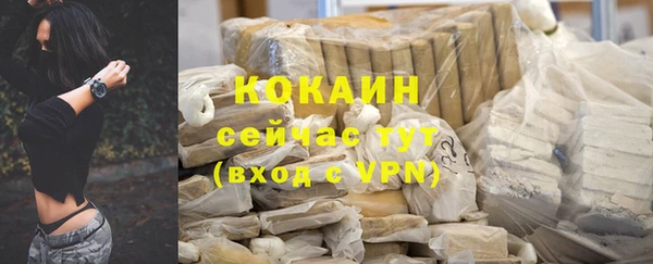 spice Белокуриха